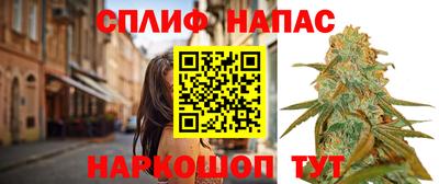 jwh Будённовск