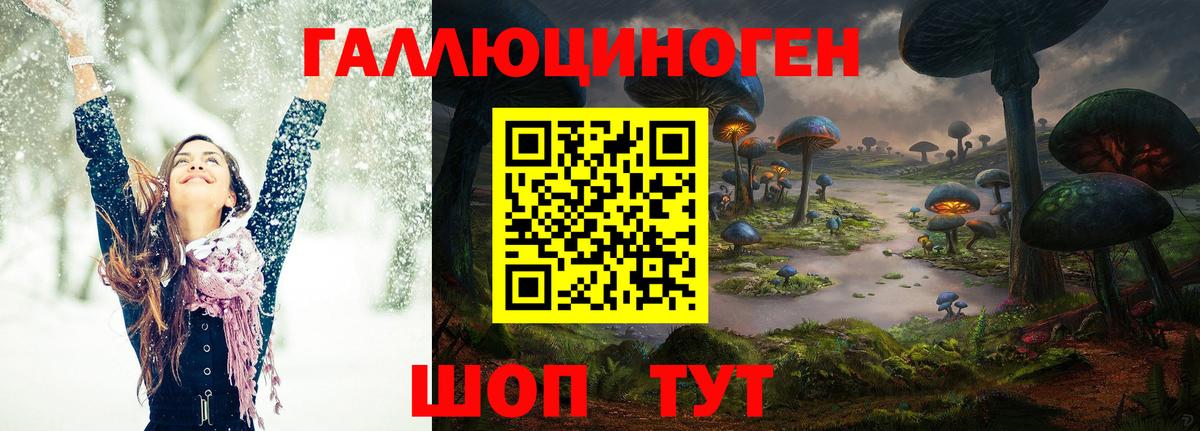 Коряжма  Псилоцибиновые грибы мицелий  Вход с VPN 